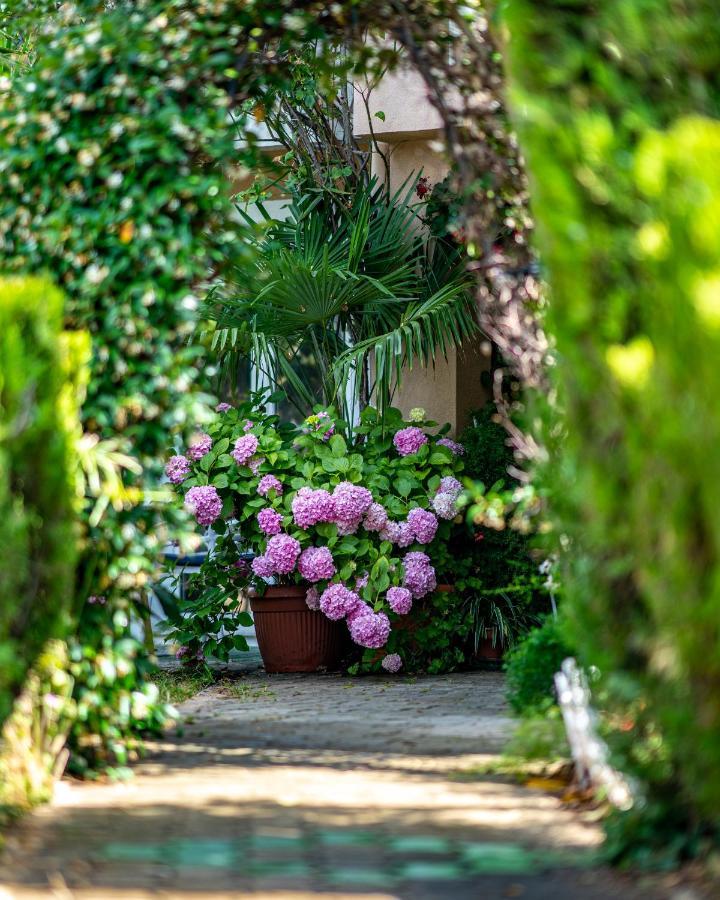 Apartments Villa Rudi Bibinje Kültér fotó